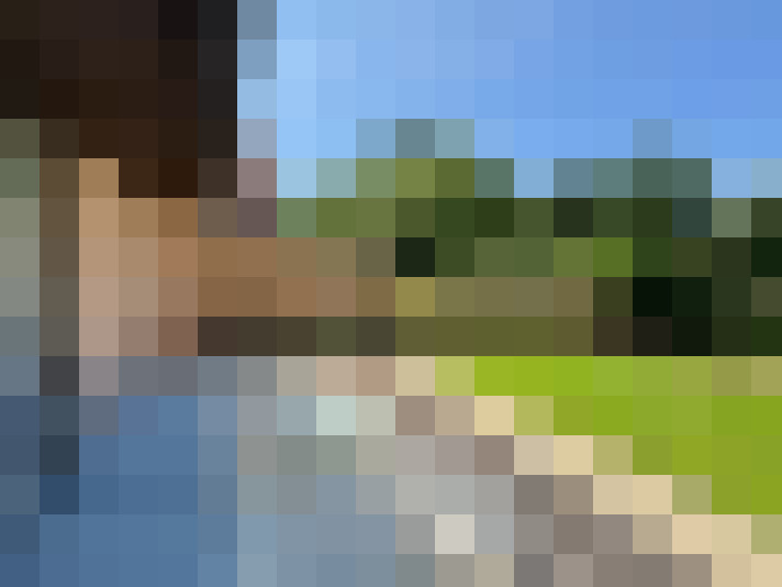 Image 17