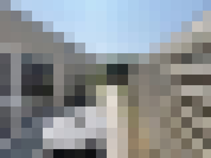 Image 15