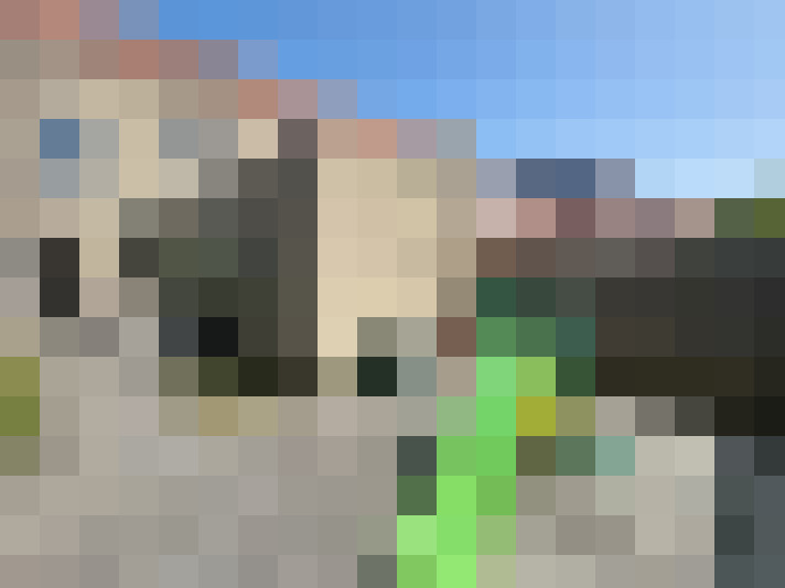 Image 16
