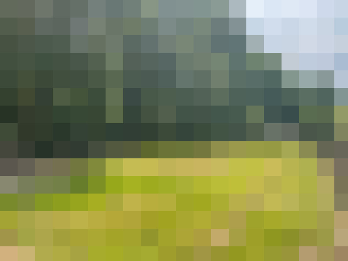 Image 14