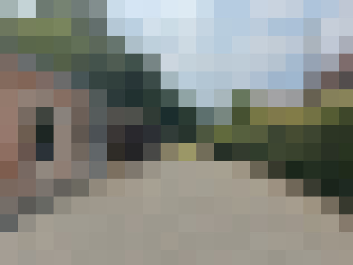 Image 13