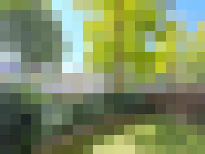 Image 15