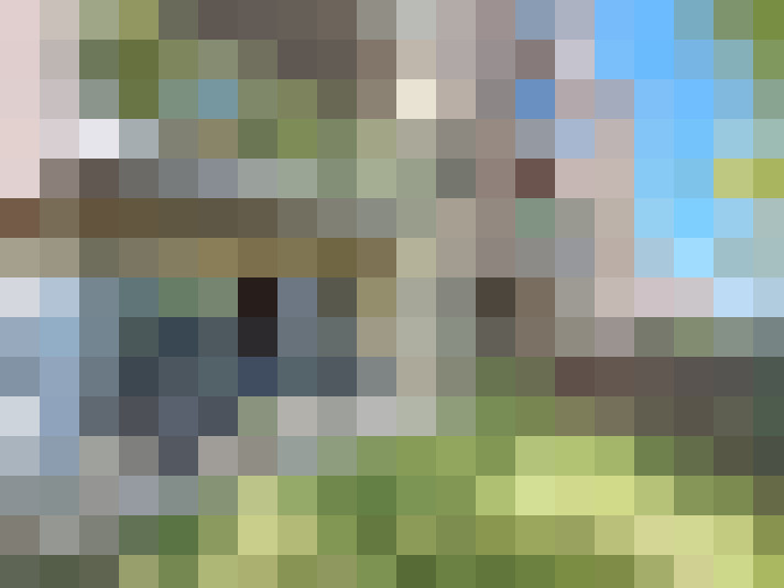 Image 14