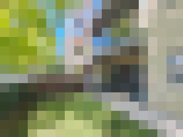 Image 16