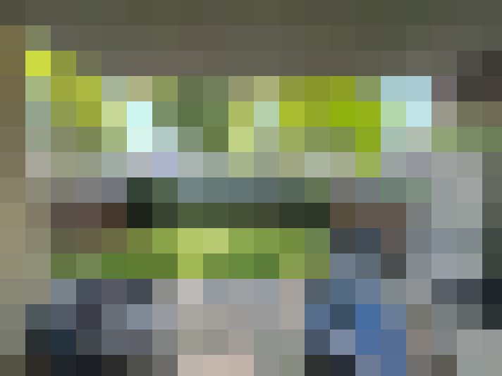 Image 13