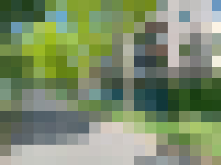 Image 28