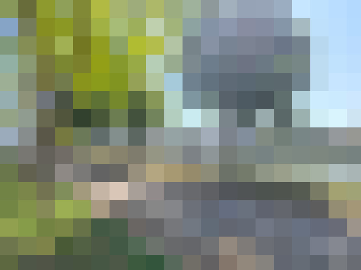 Image 26