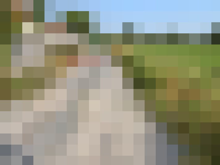 Image 14