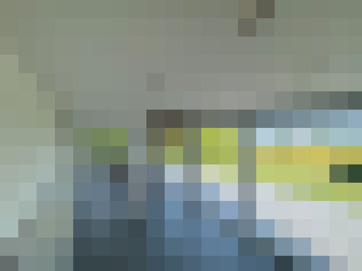 Image 15