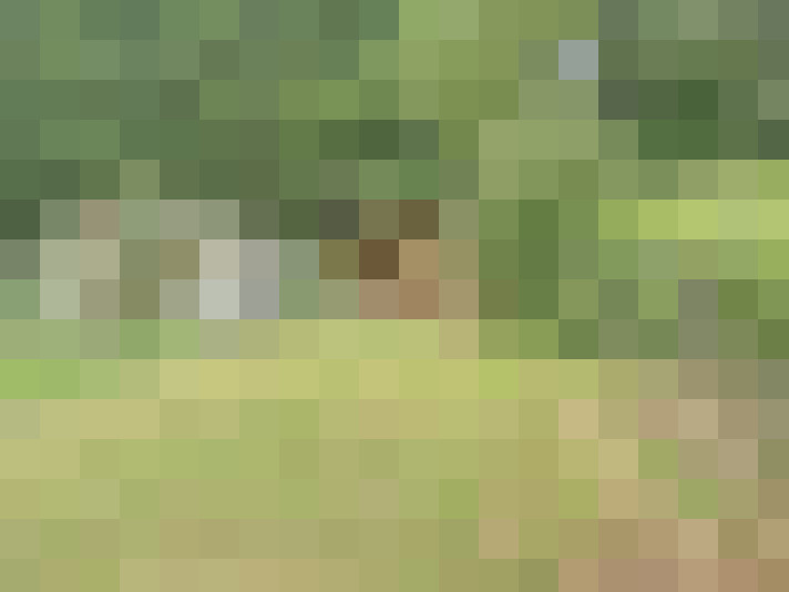 Image 23