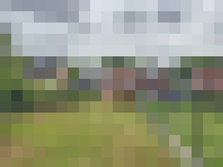 Image 25