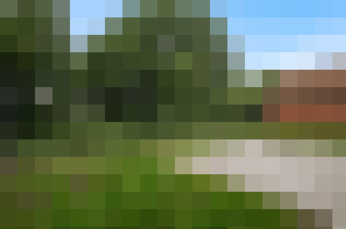 Image 16