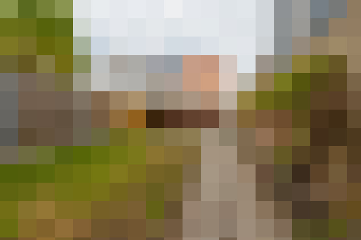 Image 13