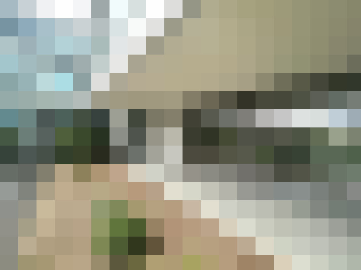 Image 15
