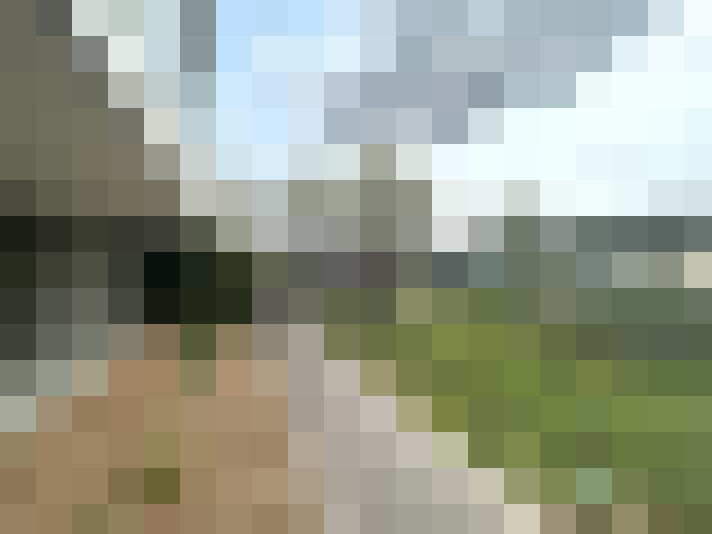 Image 16