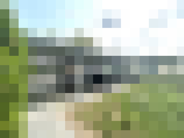 Image 17