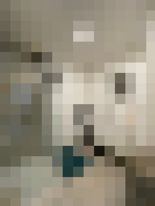 Image 13