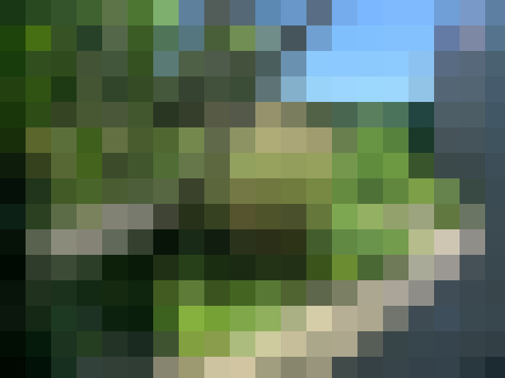 Image 25