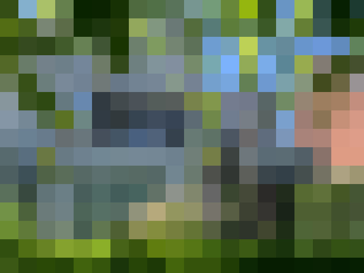 Image 27