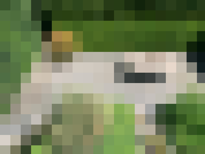Image 28