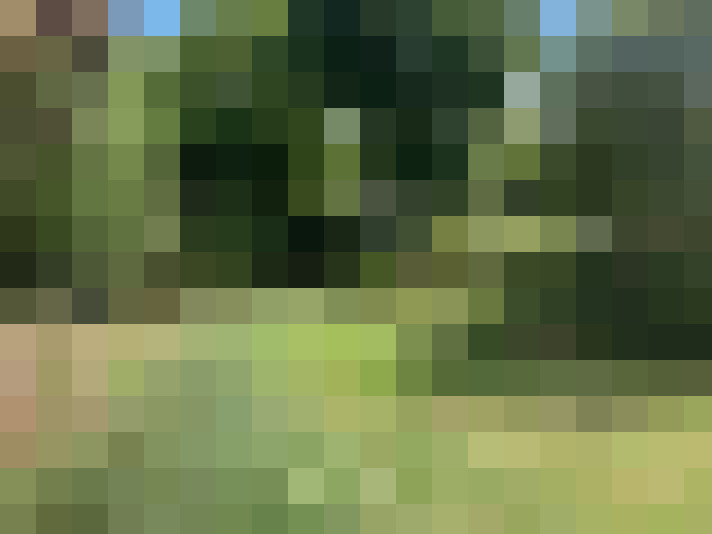 Image 18