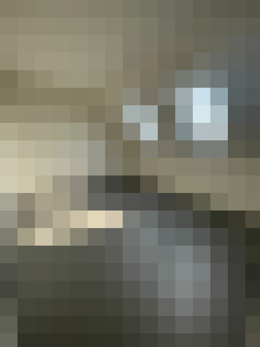 Image 15