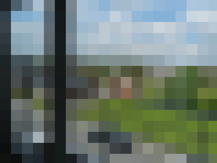Image 13