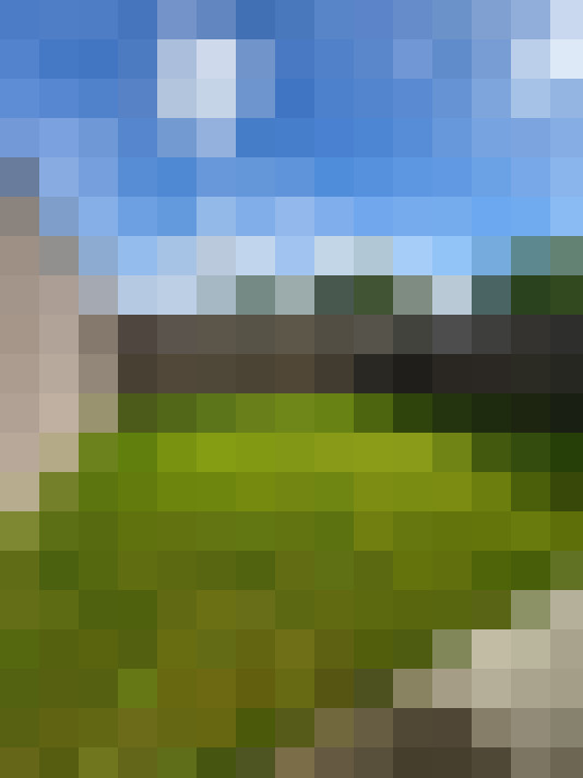 Image 15