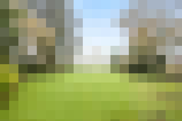 Image 25