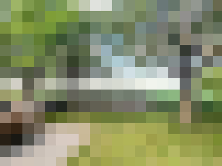 Image 17