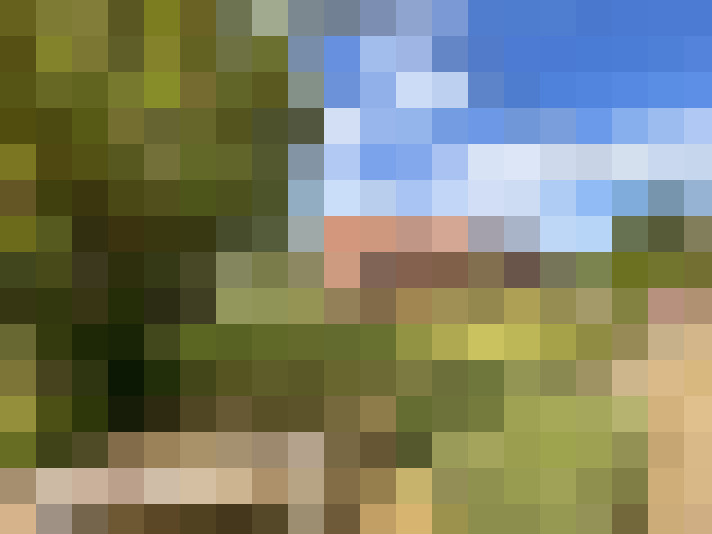 Image 20