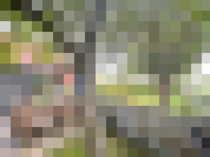 Image 16