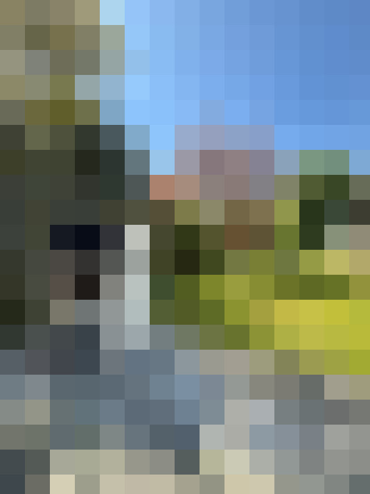 Image 27