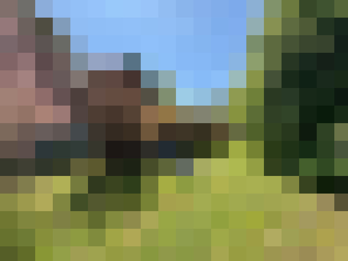 Image 28