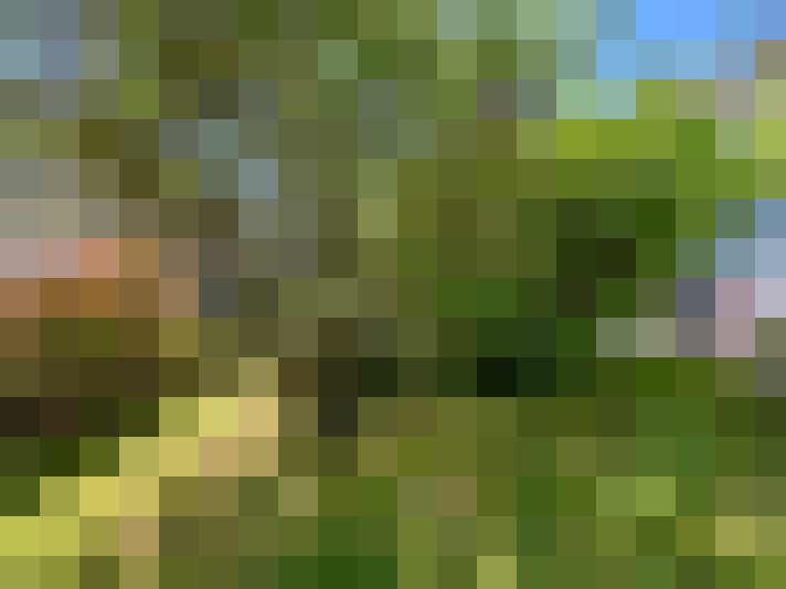 Image 30