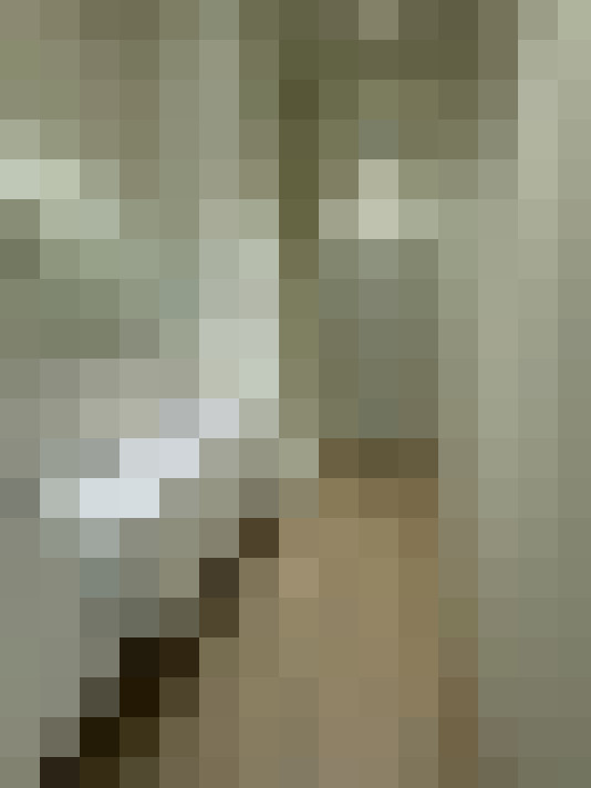 Image 20