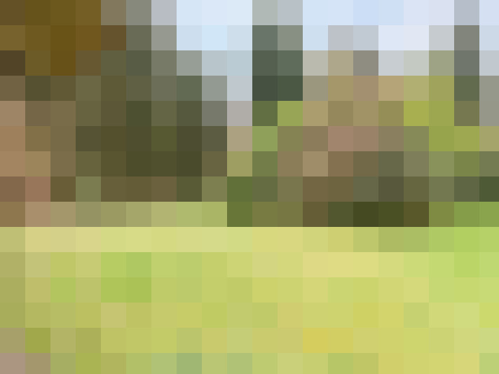 Image 14
