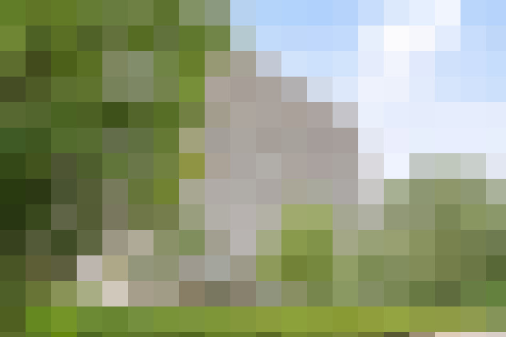 Image 24