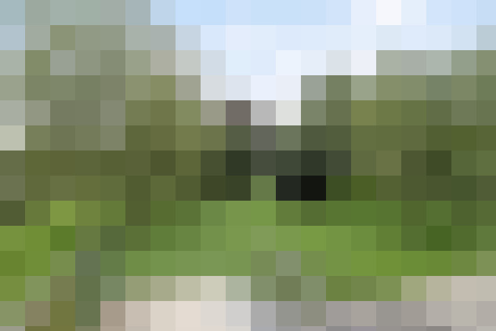 Image 23