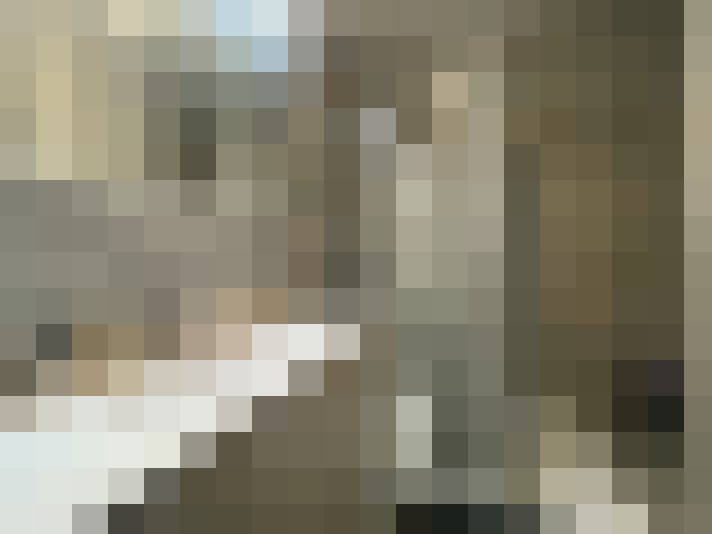 Image 14