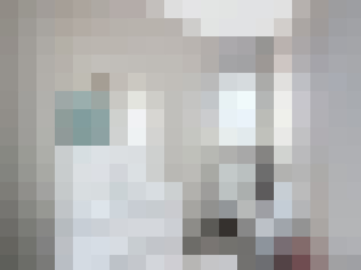 Image 14