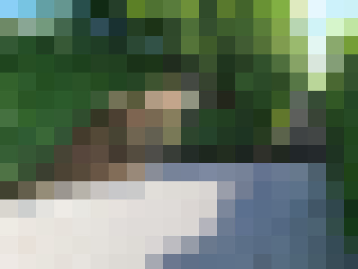 Image 20
