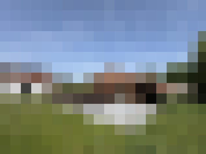 Image 20