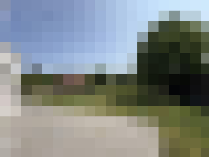 Image 21