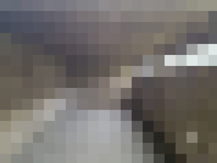Image 13