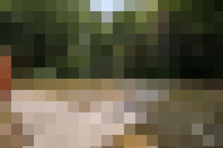Image 23