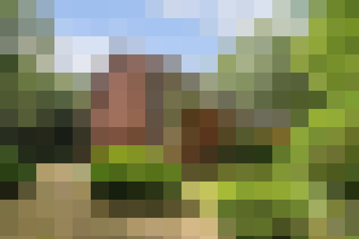 Image 25