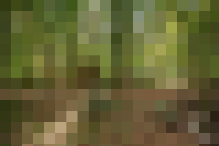 Image 24
