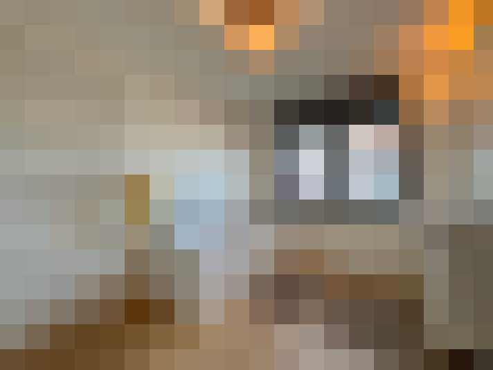 Image 14