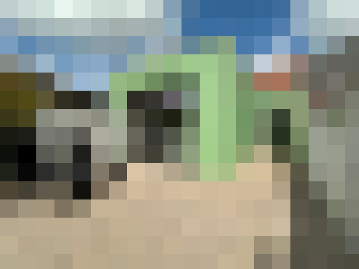 Image 15